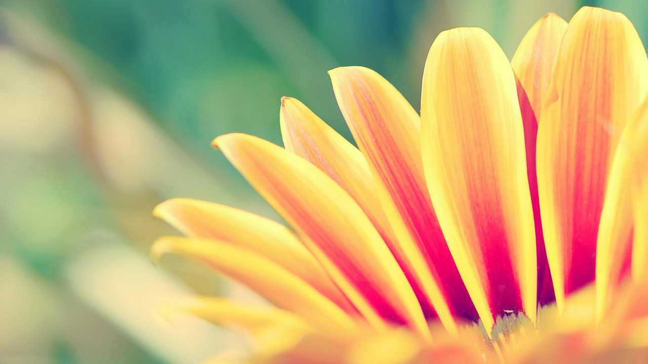 

Картина на холсте LinxOne 60x110 Природа пейзаж натура флора