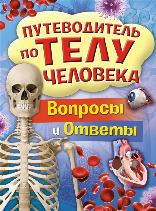 фото Книга путеводитель по телу человека. вопросы и ответы стрекоза