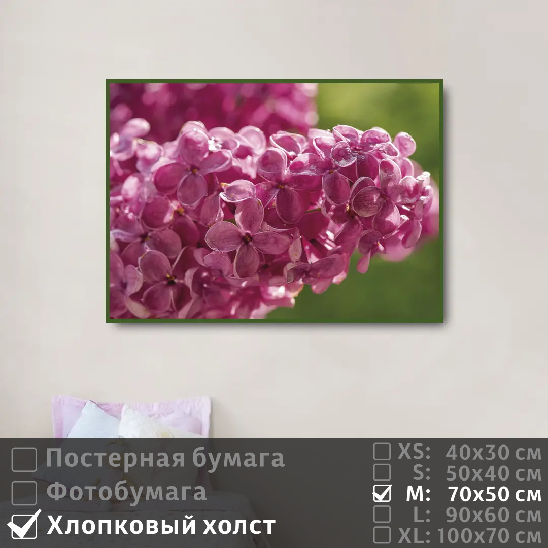 

Постер на холсте ПолиЦентр Ветка сирени с каплями 70х50 см, ВеткаСирениСКаплями