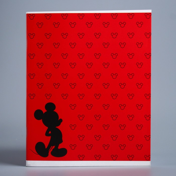 

Тетрадь 48 листов в клетку Mickey «Микки Маус», Микки Маус и друзья