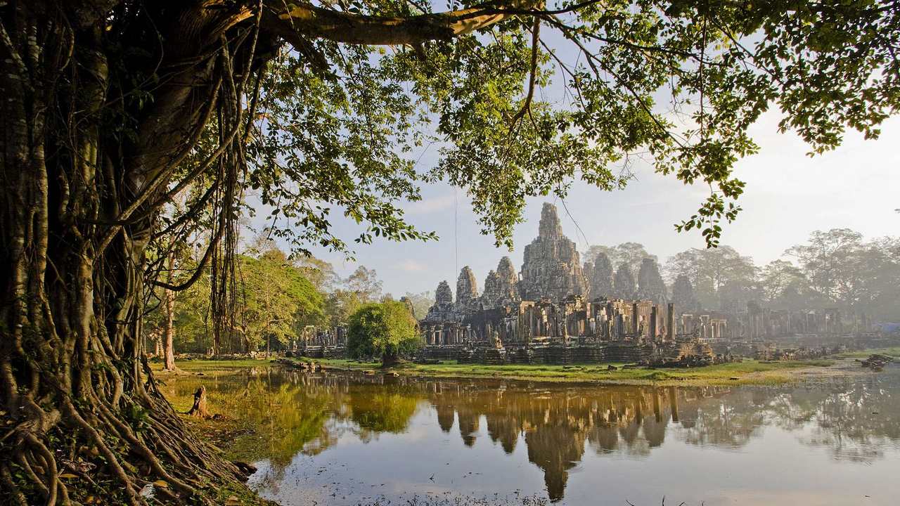 

Картина на холсте LinxOne 60x110 Природа пейзаж натура флора