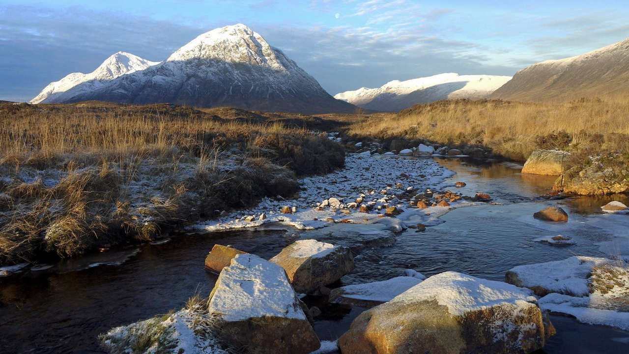 

Картина на холсте LinxOne 60x110 Природа пейзаж натура флора