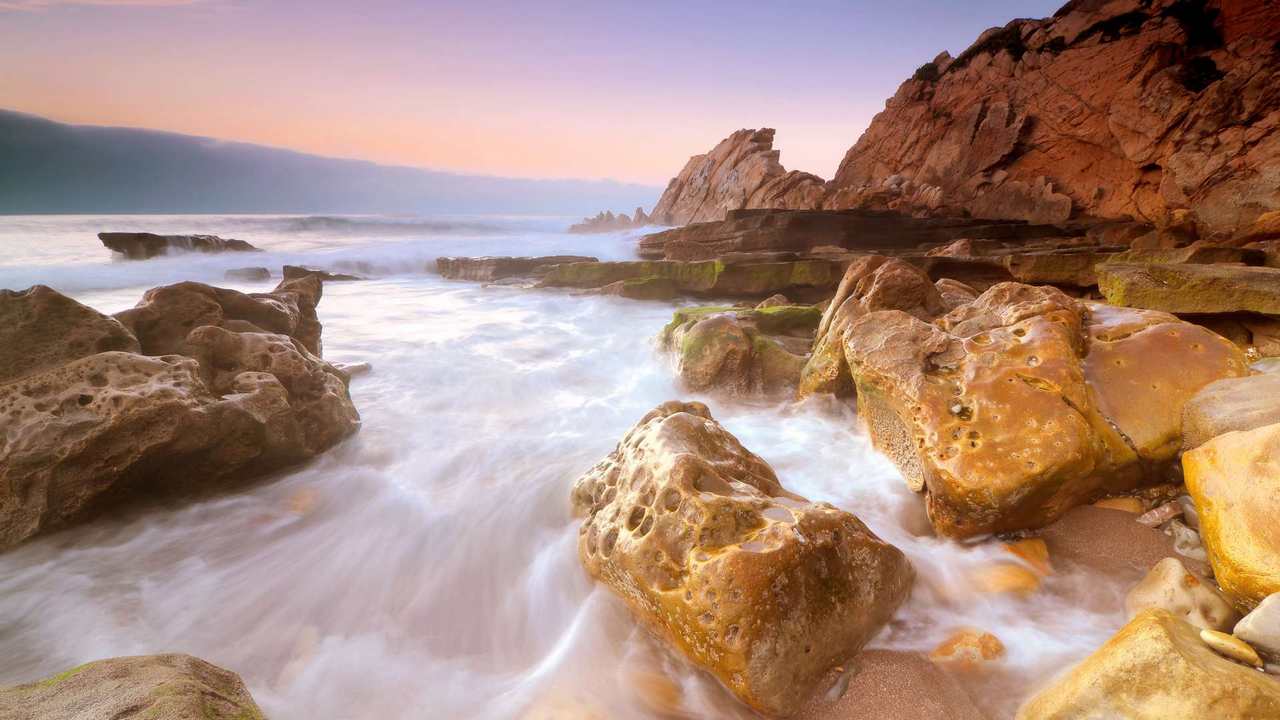

Картина на холсте LinxOne 60x110 Природа пейзаж натура флора