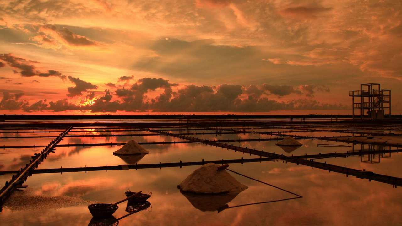 

Картина на холсте LinxOne 60x110 Природа пейзаж натура флора