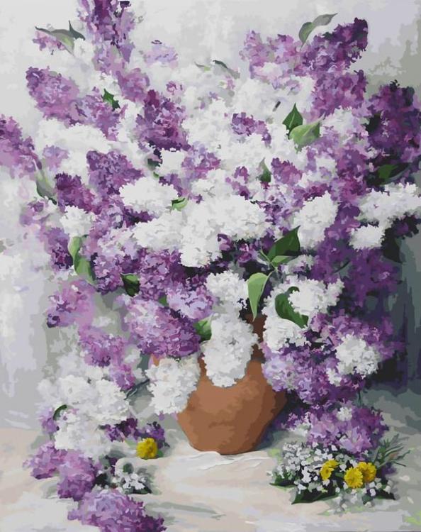 

Картина по номерам Белоснежка Персидская сирень, 40x50, Персидская сирень