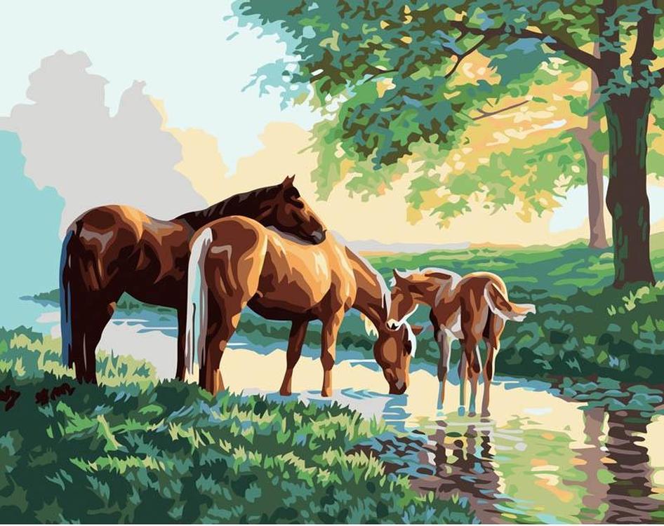

Картина по номерам Белоснежка Скакуны на водопое, 40x50, Скакуны на водопое
