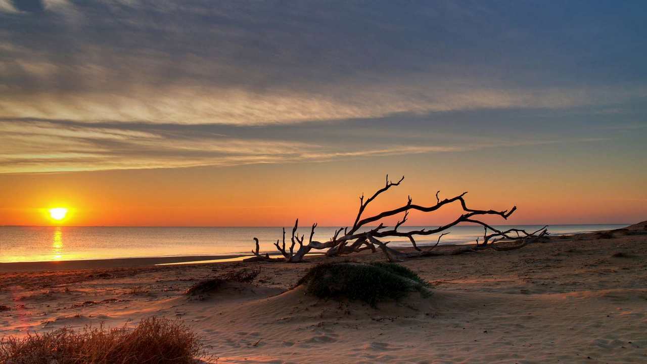 

Картина на холсте LinxOne 60x110 Природа пейзаж натура флора