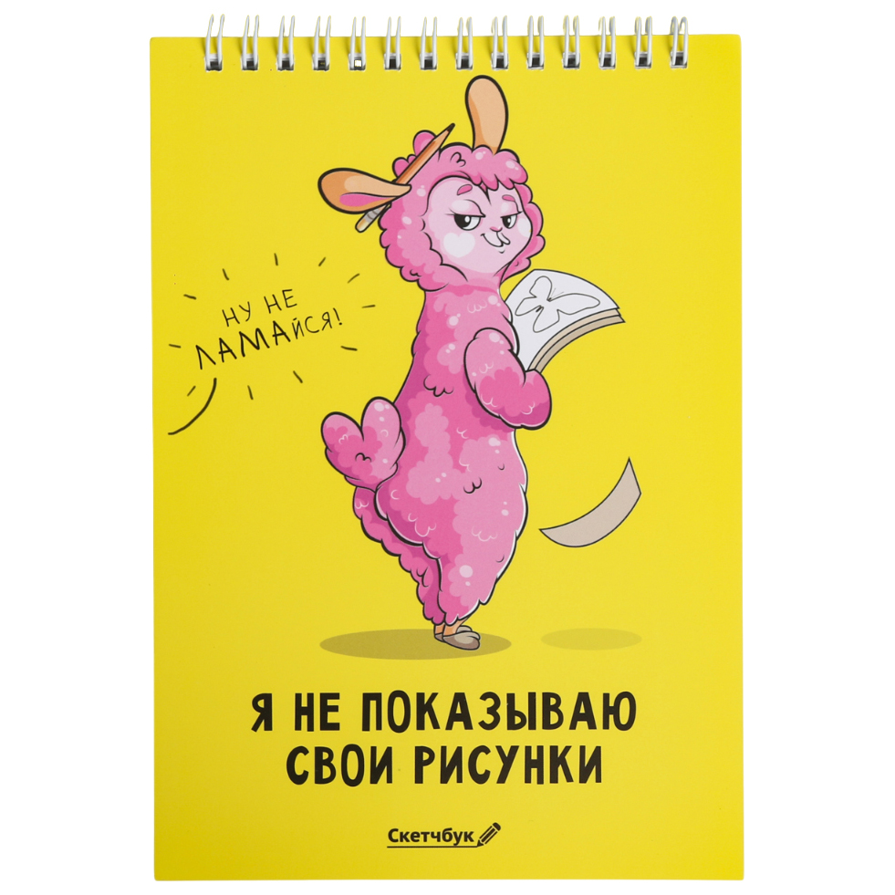 

Скетчбук «Я не показываю свои рисунки» А5, 40 л, 100 г/м, 100 % Ламмма