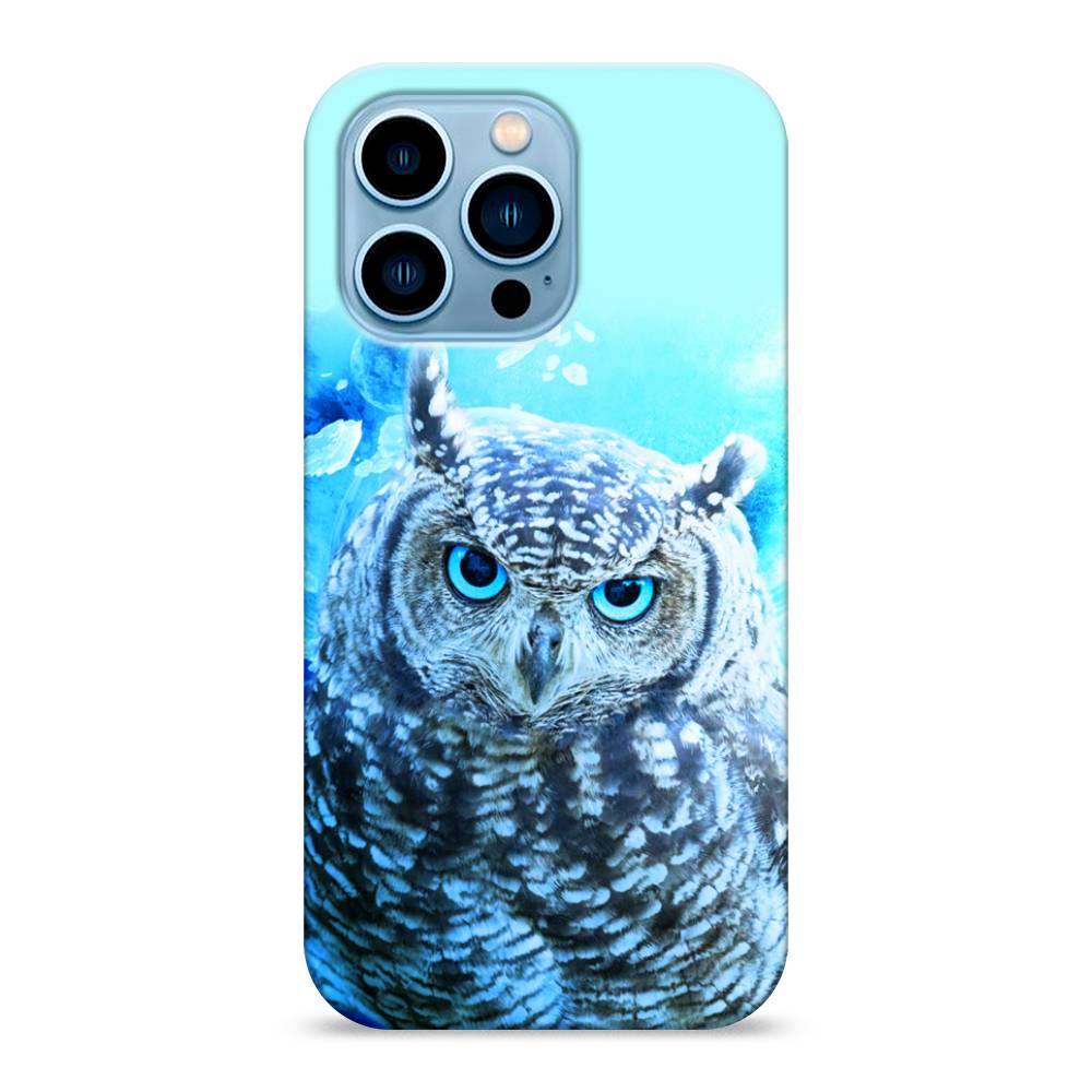 

Пластиковый чехол "Сова арт 7" на Apple iPhone 13 Pro, 14320-1
