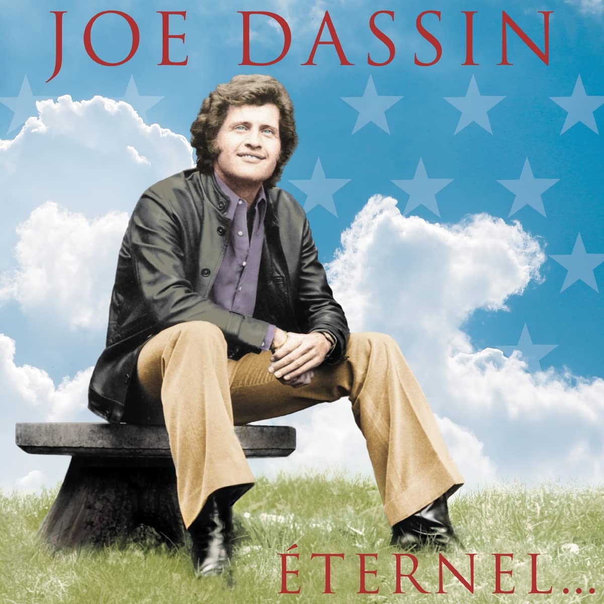 Joe Dassin Joe Dassin Eternel (2LP)