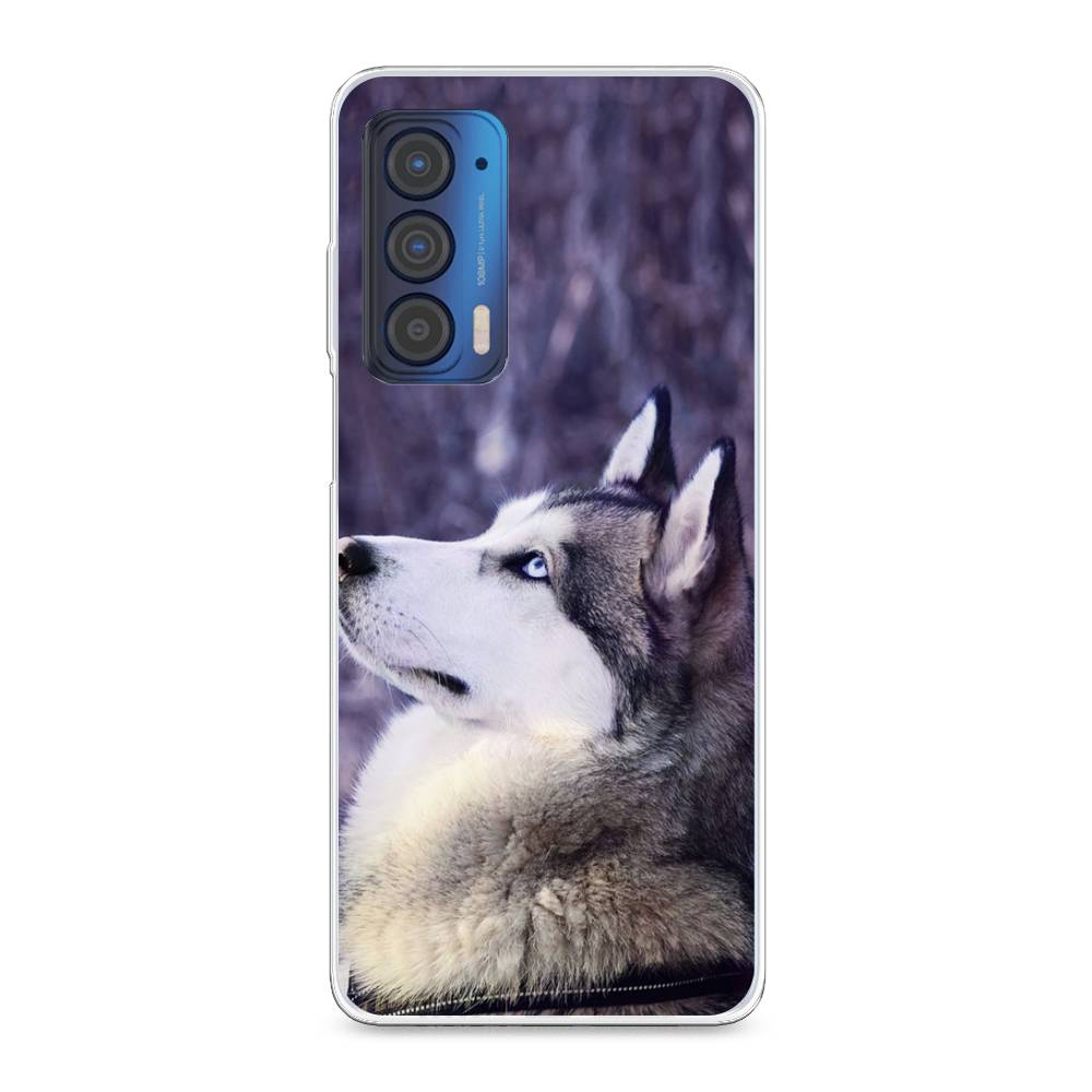 

Чехол для Motorola Edge (2021) "Хаски 1", Фиолетовый;белый, 242950-1