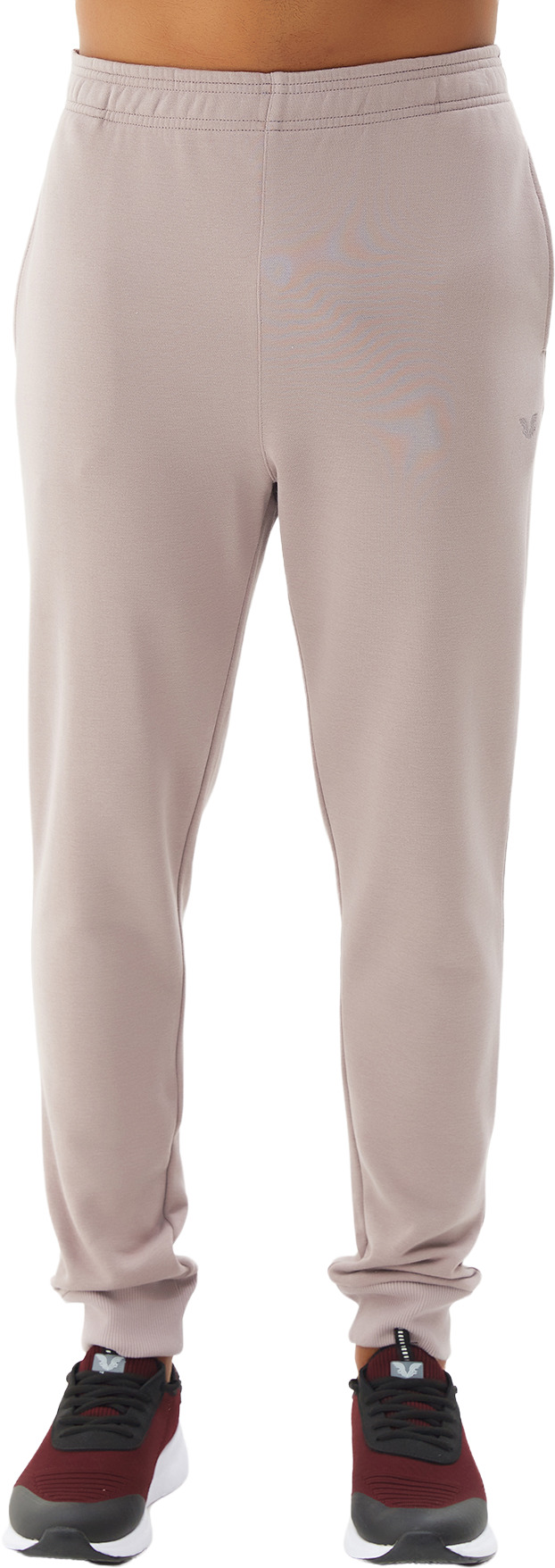 Спортивные брюки мужские Bilcee TB21ML05S8677-1-1663 серые L