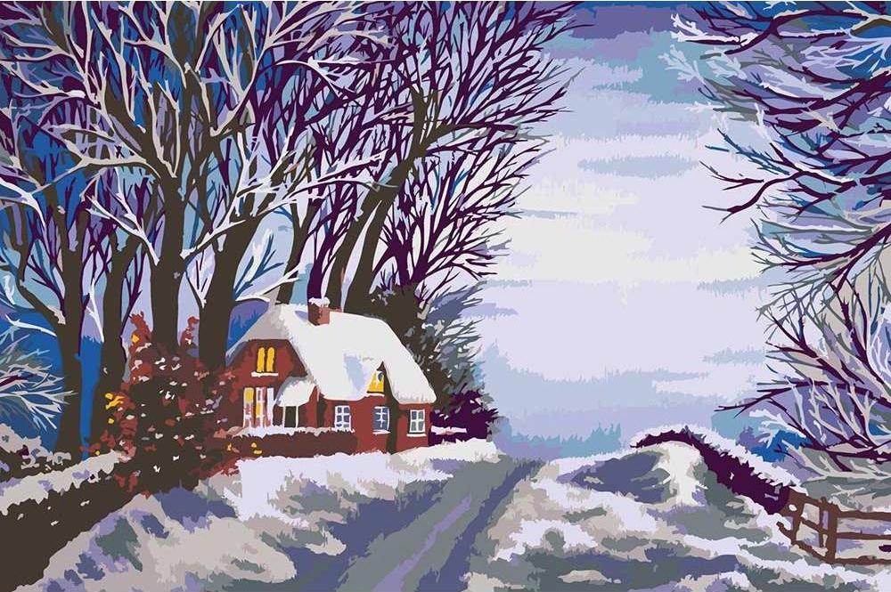 

Картина по номерам Живопись по Номерам Зимняя дорога, 40x60, Зимняя дорога