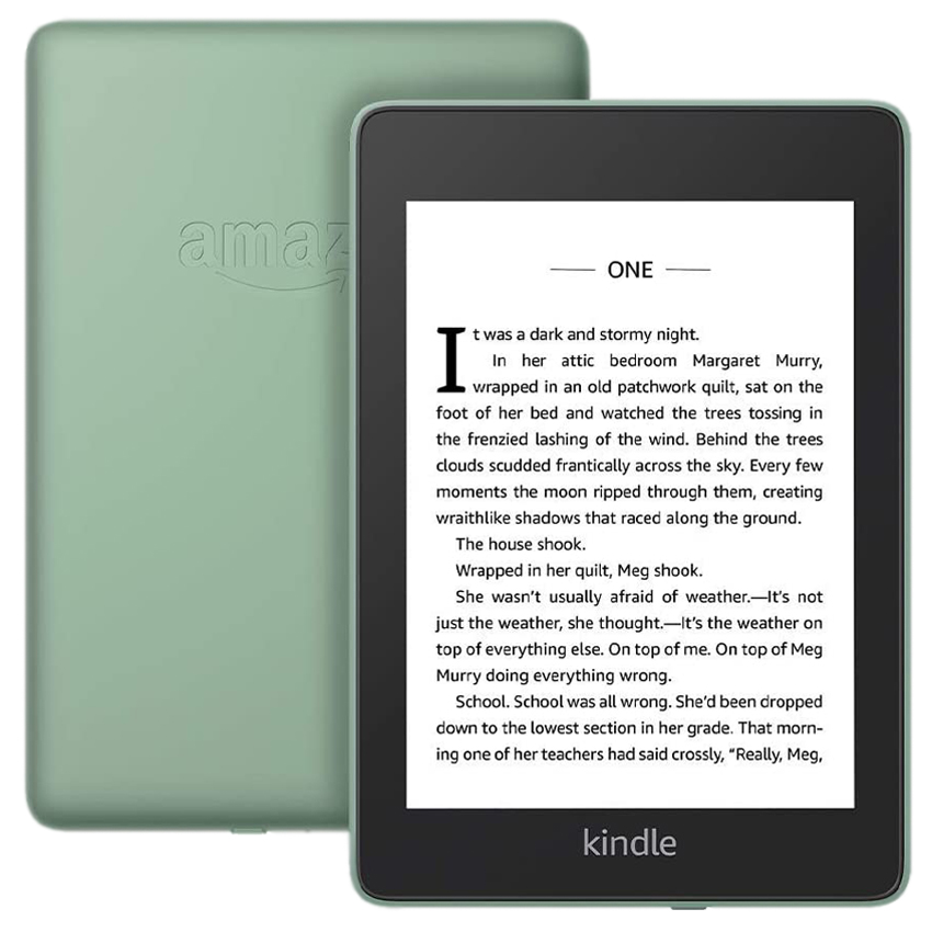 Электронная книга Amazon Kindle PaperWhite 2018 8Gb SO Sage с обложкой Green