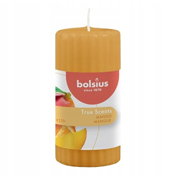 

Свеча ароматическая Bolsius True Scents Манго 12 х 6 см оранжевая