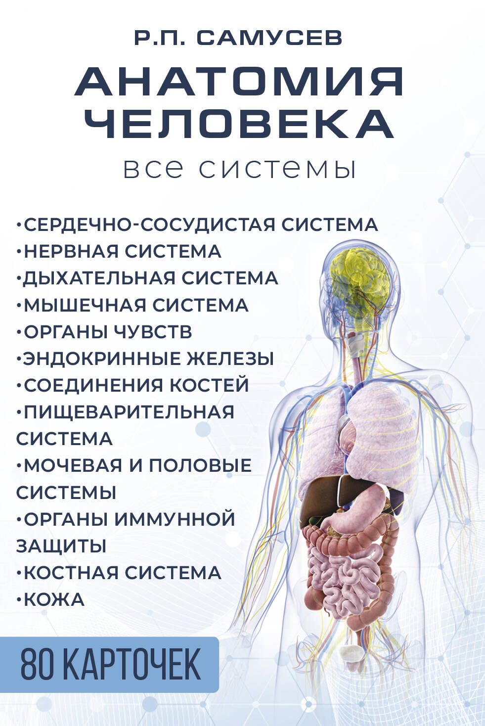

Анатомия человека