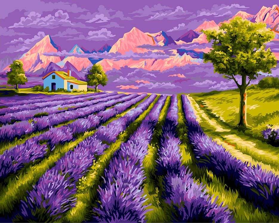 

Картина по номерам Фрея В цвете лаванды, 40x50, Фрея В цвете лаванды