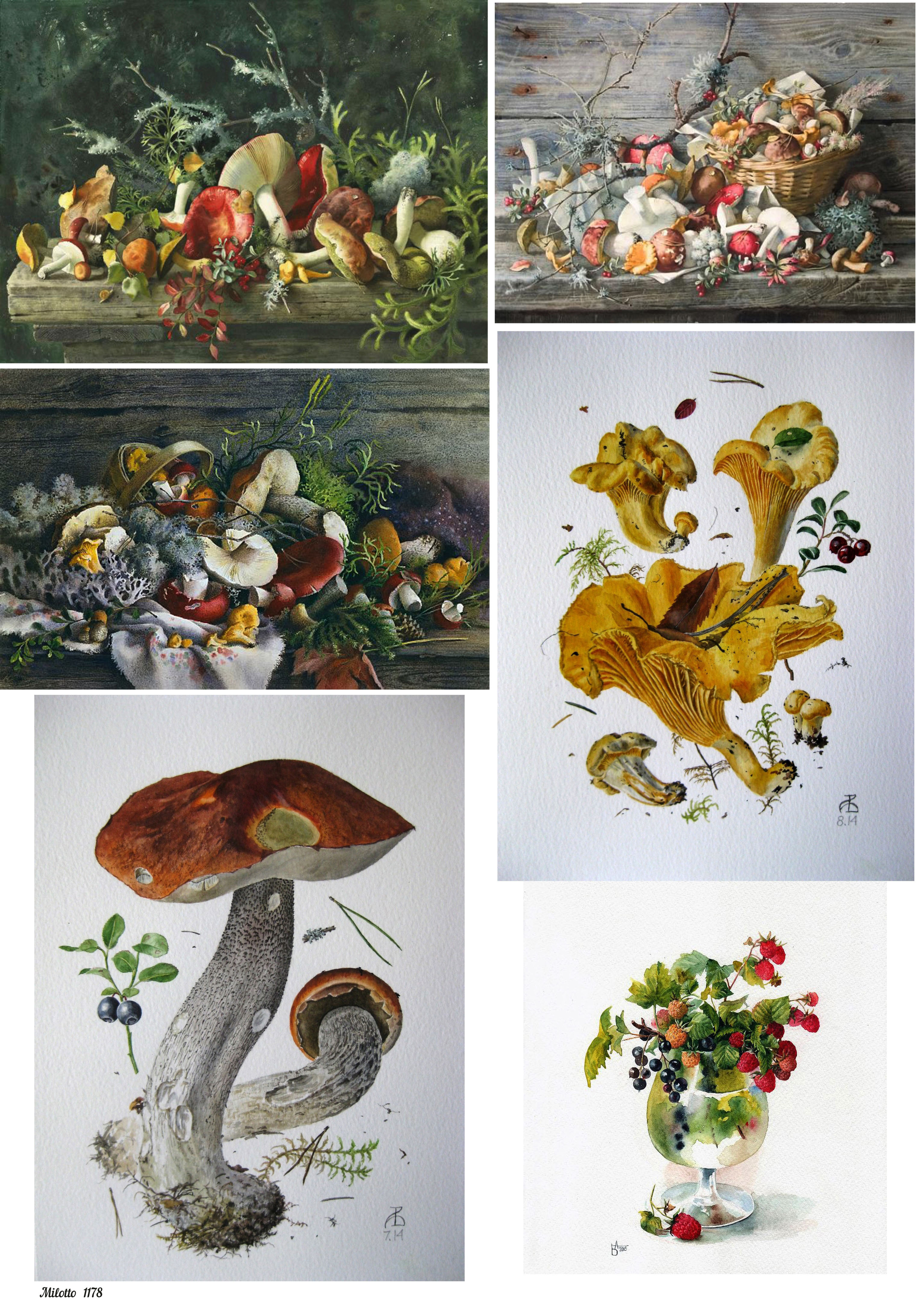 

Рисовая декупажная карта А4 Milotto 1178 грибы лес