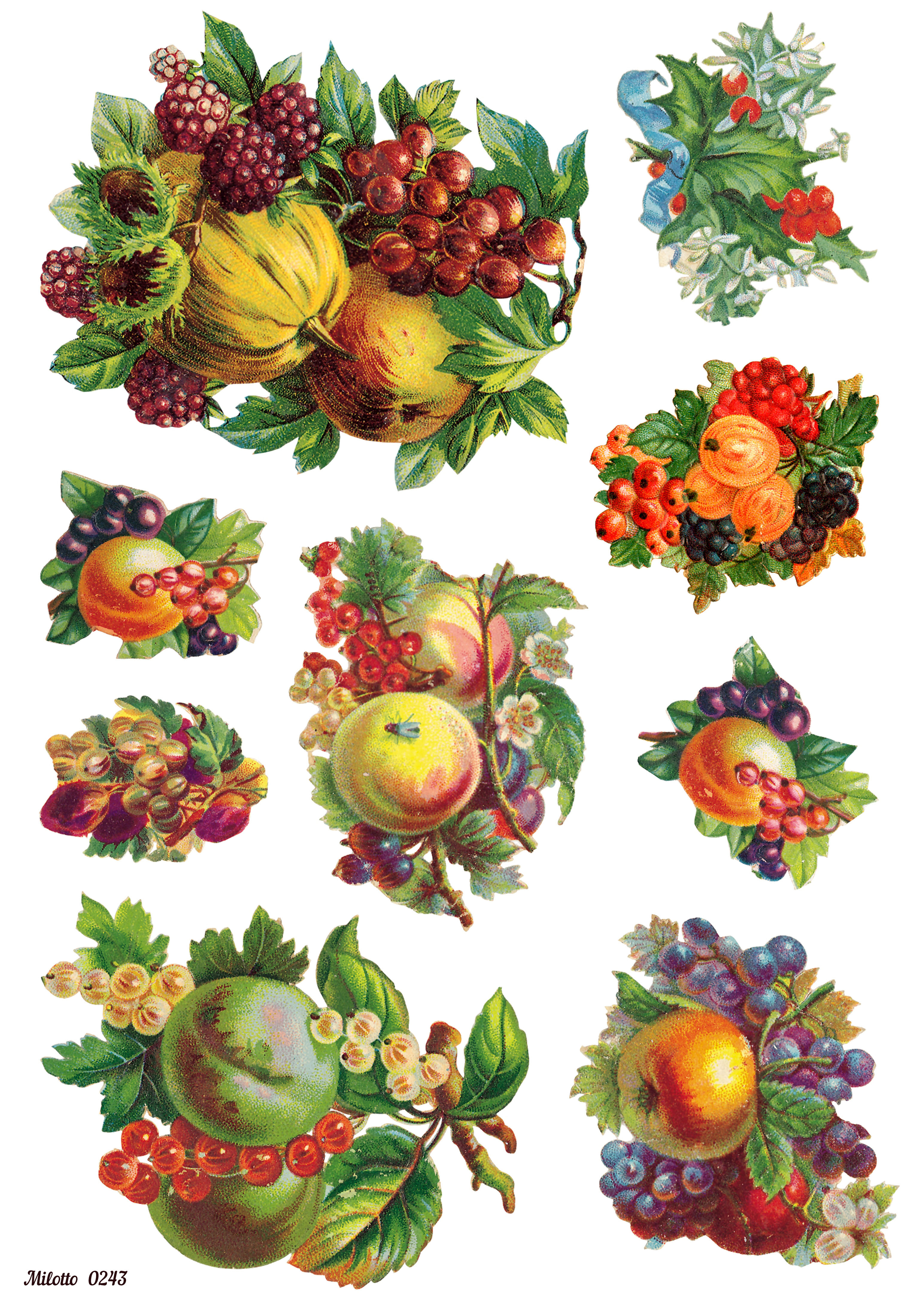 

Рисовая бумага для декупажа А4 Milotto 0243 фрукты винтаж крафт
