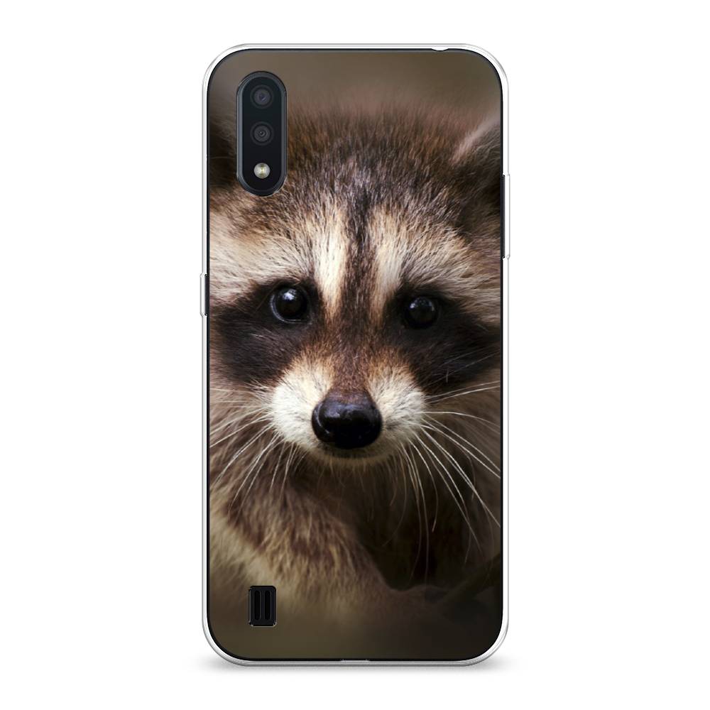 

Чехол Awog на Samsung Galaxy A01 "Енот", Разноцветный, 29550-1