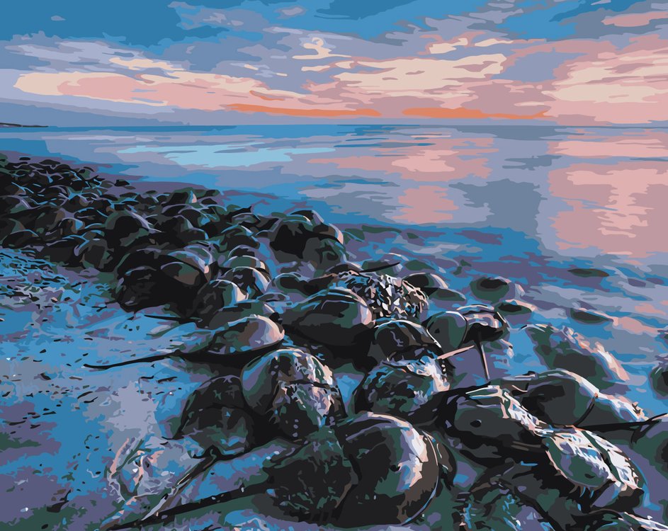 

Картина по номерам Живопись по Номерам Камни, 40x50, Камни