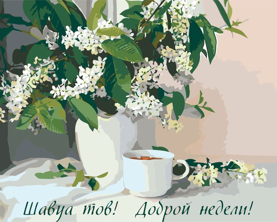 

Картина по номерам Живопись по Номерам Шавуа тов!, 40x50, Шавуа тов!