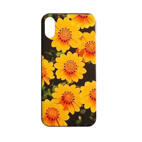 Чехол Unknown для iPhone XSX с рельефным рисунком PCTPU 14 467₽