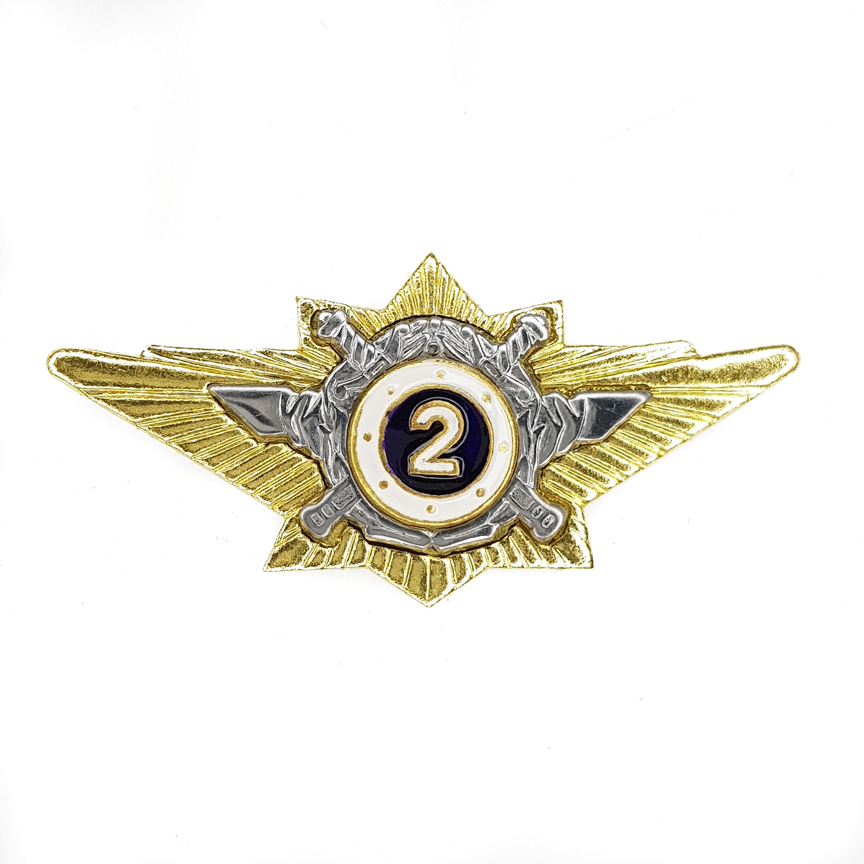 

Значок ПОЛИГОН Знак нагрудный Классность офицерская МВД 2 класс