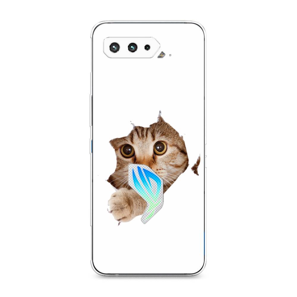 

Чехол для Asus Rog Phone 5/5s "Кот и бумага", 44250-1