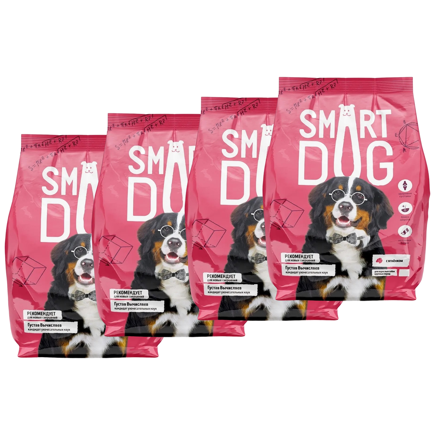 Сухой корм для собак крупных пород Smart Dog с ягненком, 4 шт по 3 кг