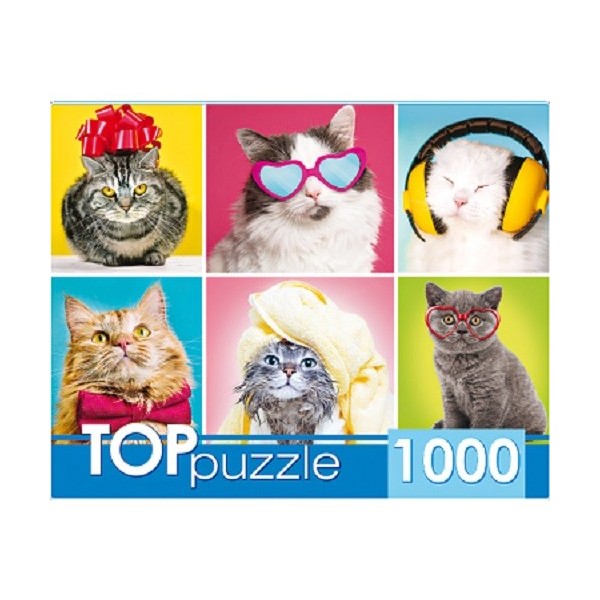 фото Пазлы toppuzzle. смешные котята, 1000 элементов toppuzzle