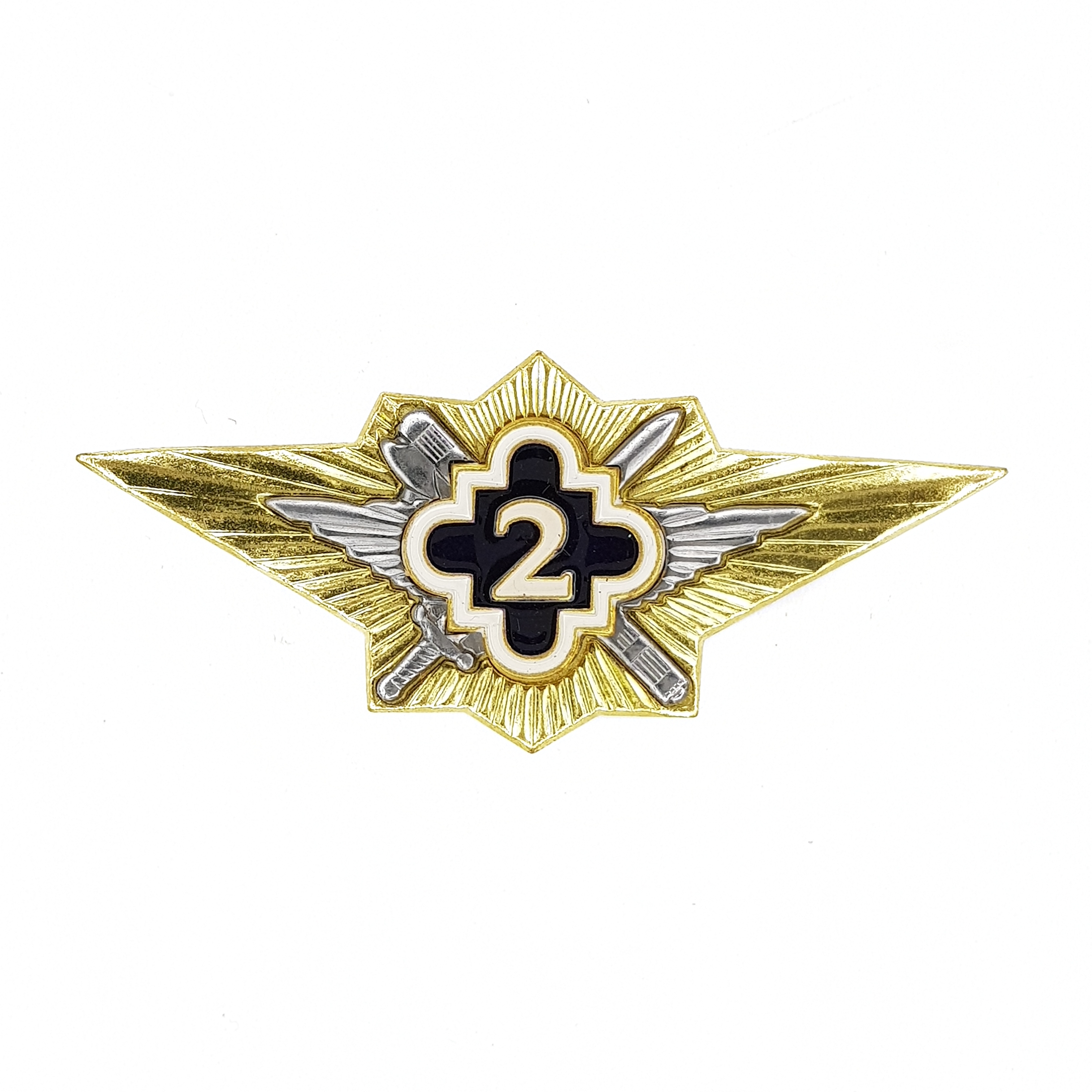 

Значок ПОЛИГОН Знак нагрудный Классность ФСИН 2 класс