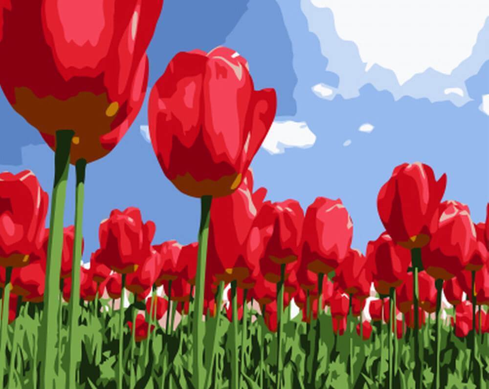 фото Картина по номерам на холсте 30х40 цветной поле тюльпанов ex5826