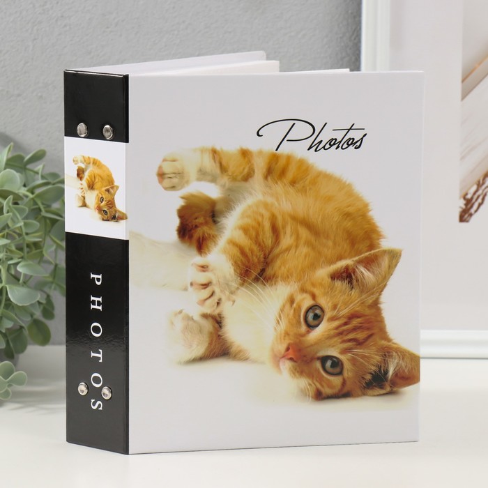 

Фотоальбом на 200 фото Кошки-2, 10х15 см ", Черный;белый, Кошки-2