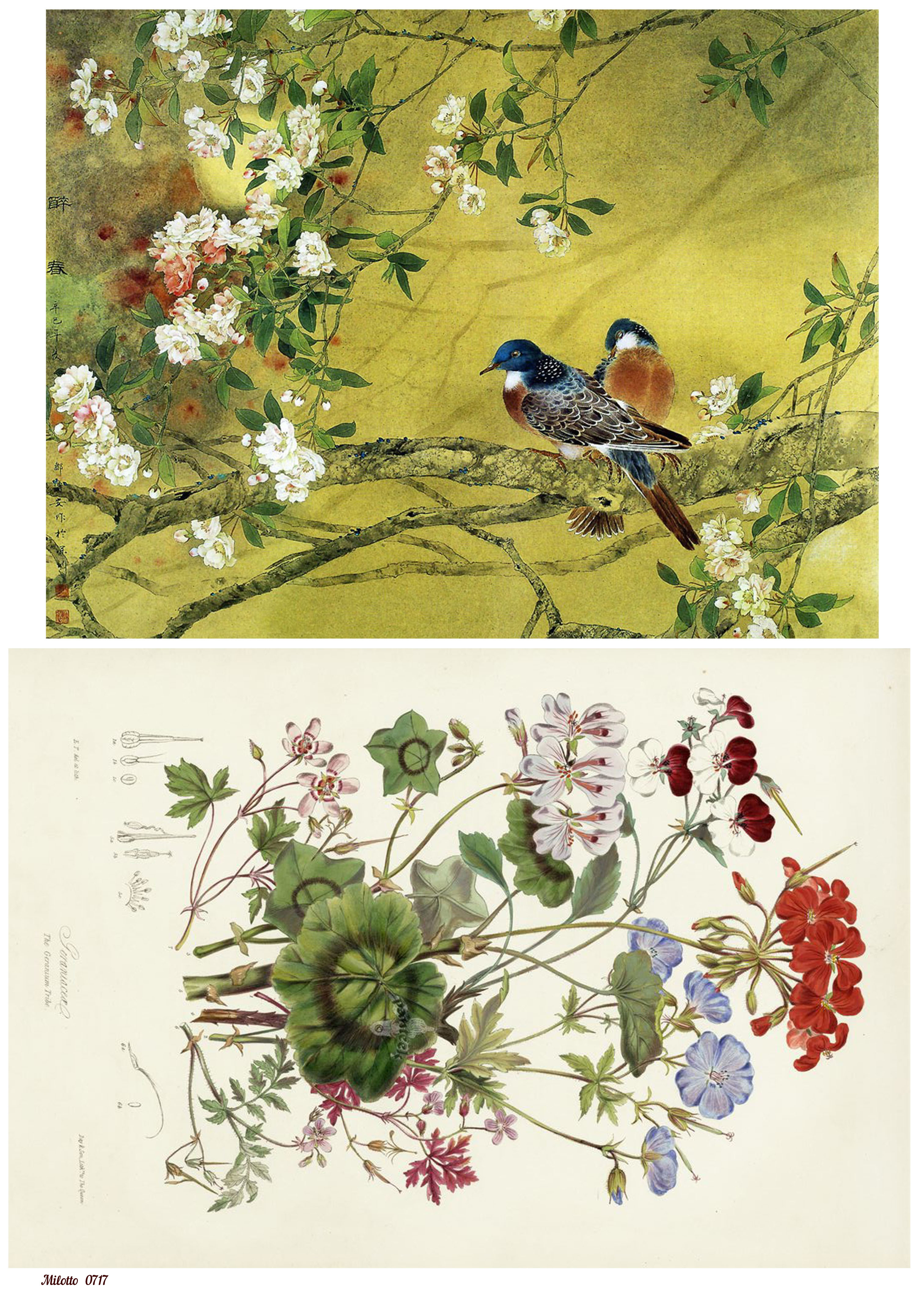 

Рисовая бумага для декупажа А4 Milotto 0717 птицы природа цветы