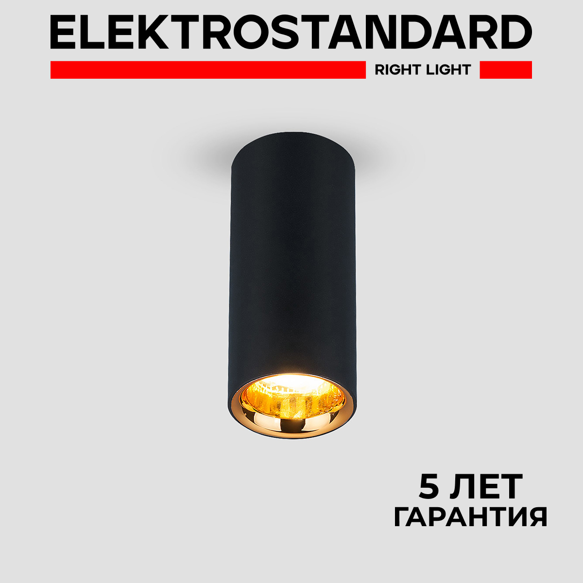 

Потолочный светильник Elektrostandard DLR030 черный, золотой, DLR030 190923