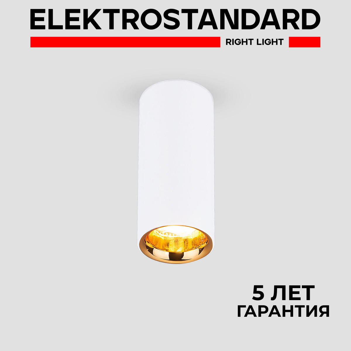 

Потолочный светильник Elektrostandard DLR030белый; золотой, DLR030 190923