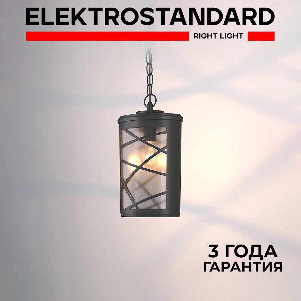 

Уличный подвесной светильник Elektrostandard Premier GL 1017H Е27 IP44 черный, Premier H GL 1017H