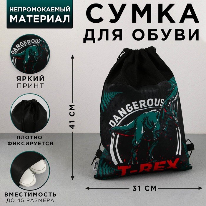

Сумка для обуви T-REX, нетканное полотно, размер 41х31 см