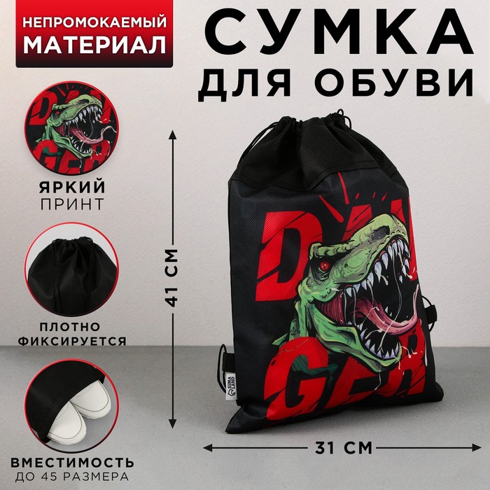 

Сумка для обуви ArtFox STUDY Динозавр, нетканное полотно, размер 41х31 см, Черный