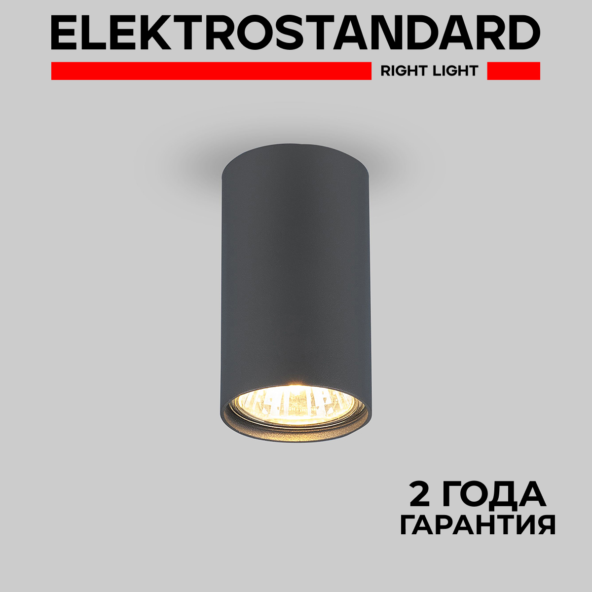 

Накладной точечный потолочный светильник Elektrostandard 1081 GU10 GR графит, 1081 190923