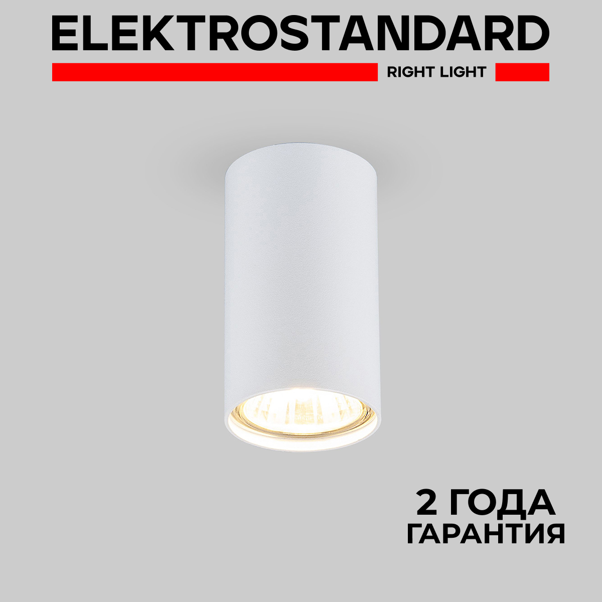 

Накладной точечный потолочный светильник Elektrostandard 1081 GU10 WH белый, 1081 190923