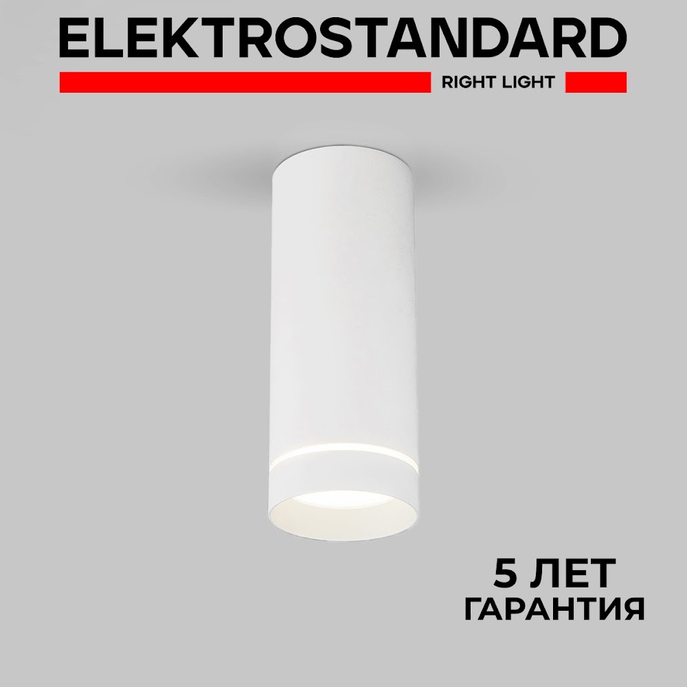 Накладной светодиодный светильник Elektrostandard Topper DLR022 12W 4200K белый матовый