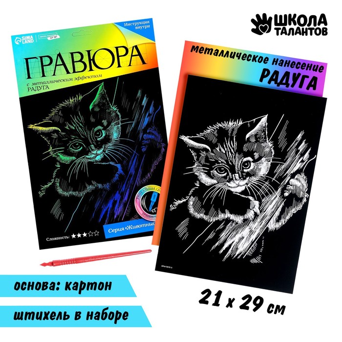 

Гравюра Школа талантов Котёнок с металлическим эффектом радуга А4