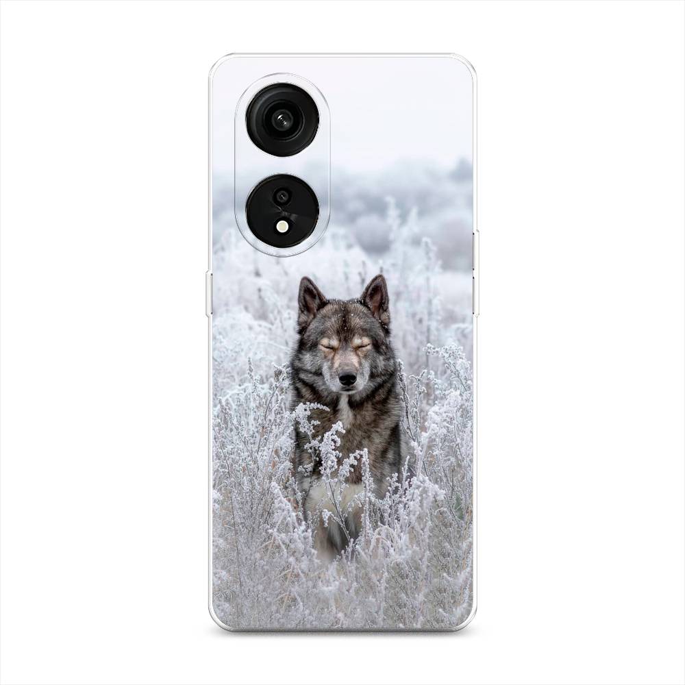 

Чехол Awog на Oppo Reno 8T 5G "Волк в поле", Белый;черный, 2513150-1