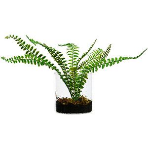 элитное искусственное растение папоротник в стеклянном кашпо, пластик, 25x21 см,, арт. 801