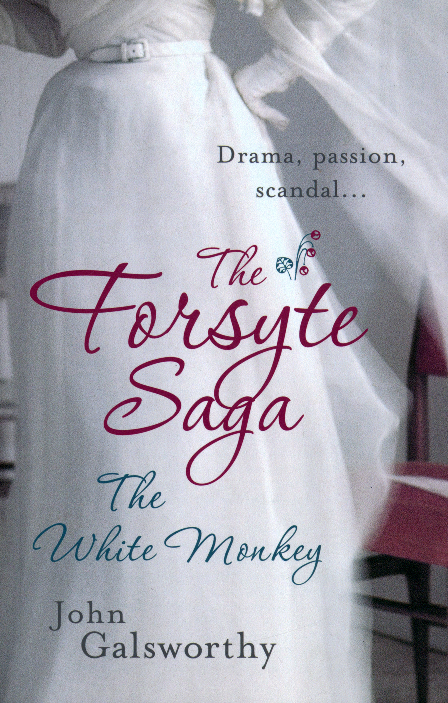 

Forsyte Saga The White Monkey