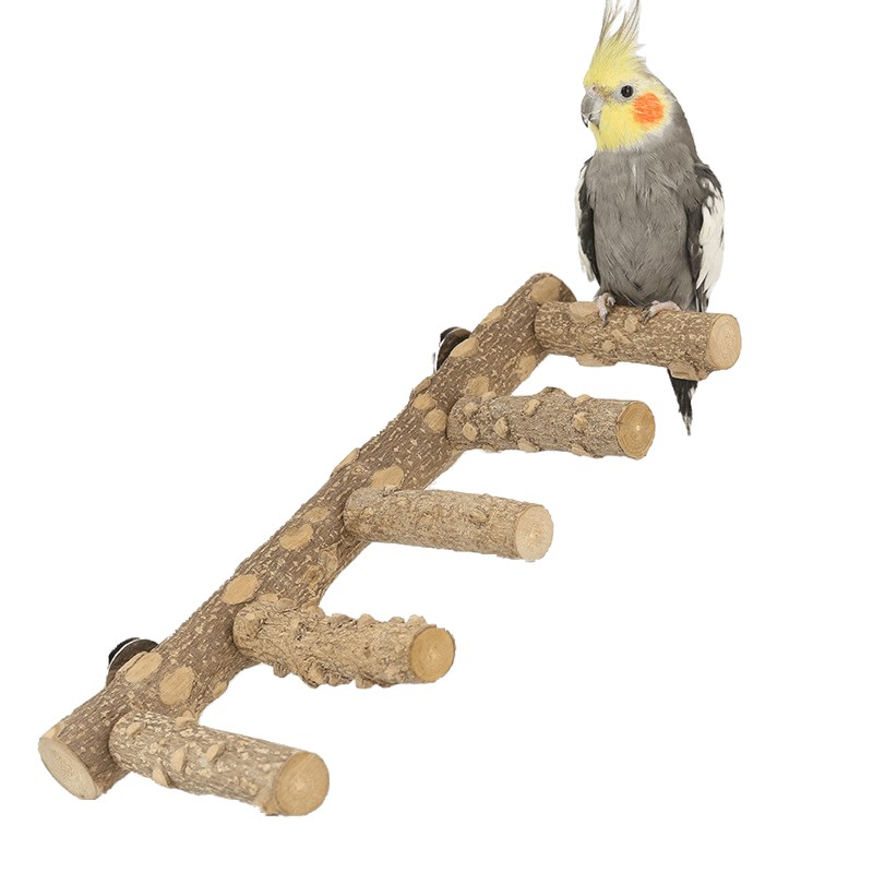 Жердочка - лестница для птиц Bentfores, 31 х 15 х 3 см