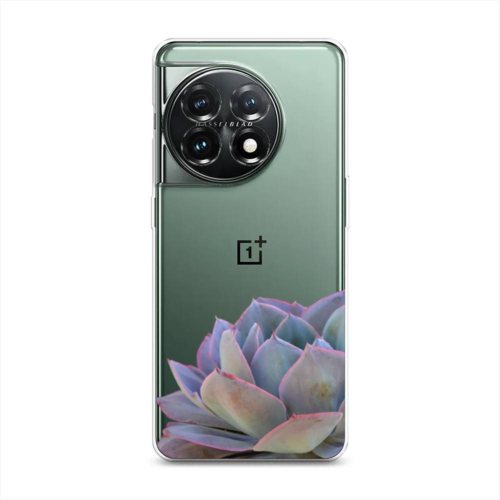 

Чехол Awog на OnePlus 11 "Молодило уголок", Серый, 153650-8