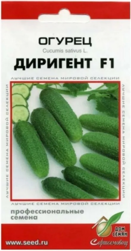 

Семена огурец Дом семян Диригент-караоке F1 1 уп., Диригент F1